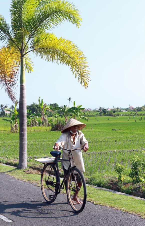 Tamu Seseh Vila Canggu Exterior foto