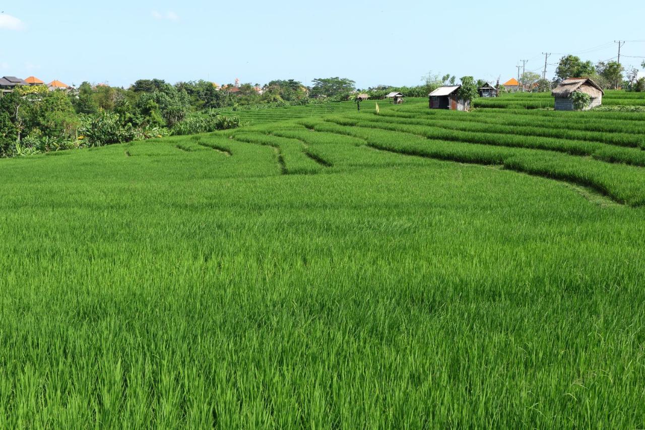 Tamu Seseh Vila Canggu Exterior foto