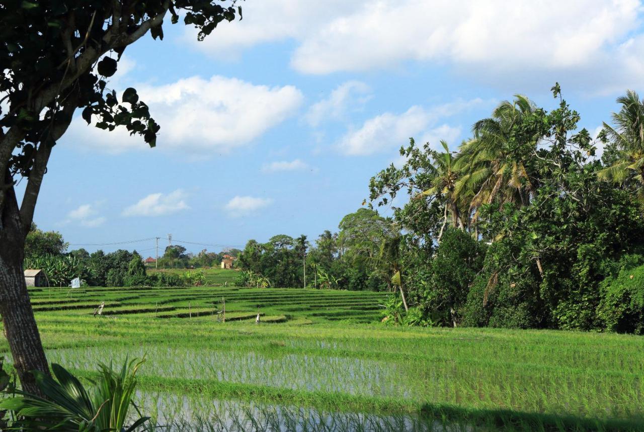 Tamu Seseh Vila Canggu Exterior foto
