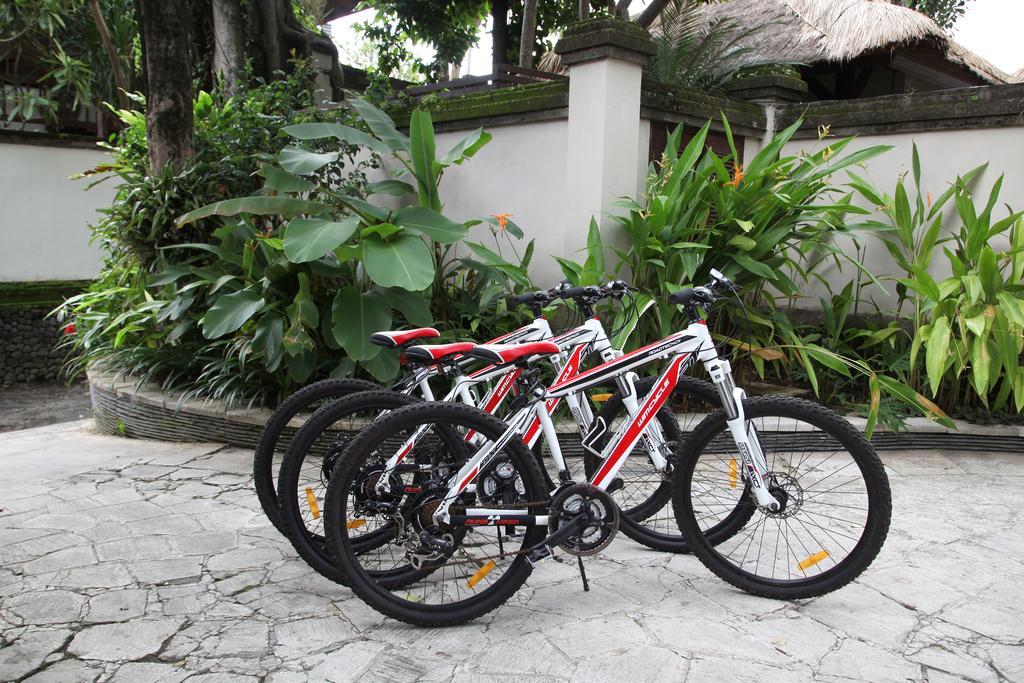 Tamu Seseh Vila Canggu Exterior foto