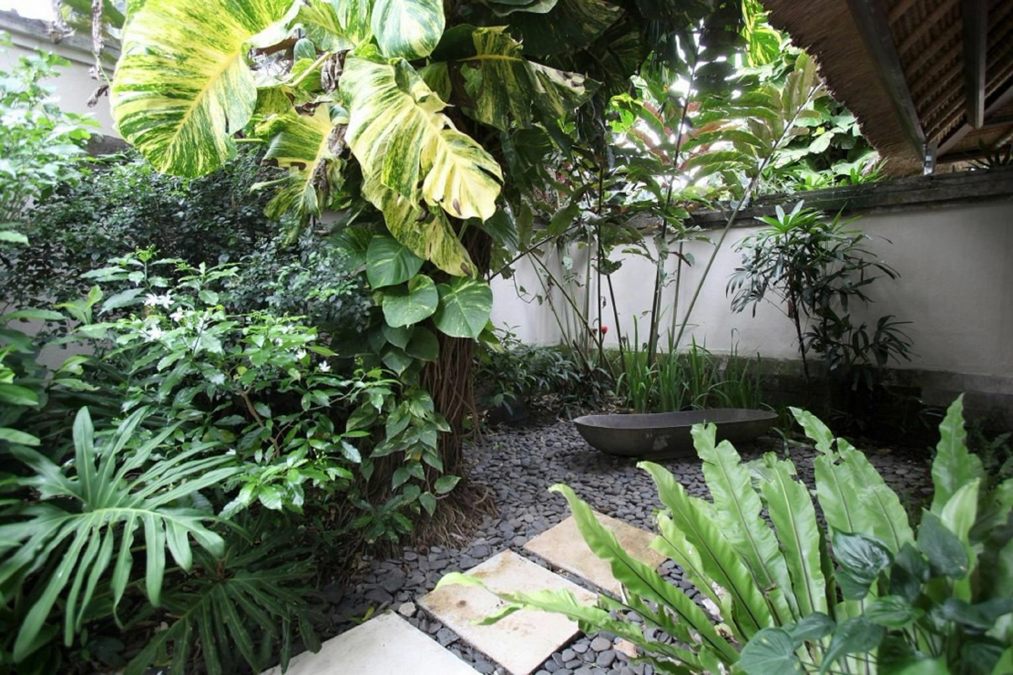 Tamu Seseh Vila Canggu Exterior foto